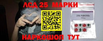 Альфа ПВП Новозыбков