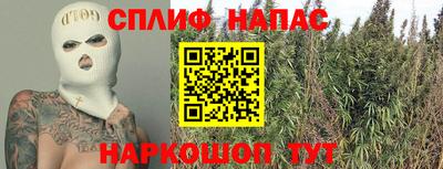 Альфа ПВП Новозыбков