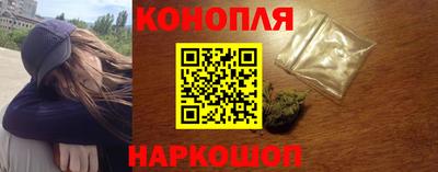 Альфа ПВП Новозыбков