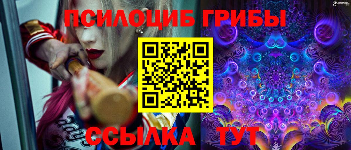 Галлюциногенные грибы GOLDEN TEACHER  Галлюциногенные грибы Psilocybine cubensis  Сосновый Бор  Вход с VPN 